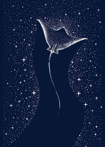 Star Collector