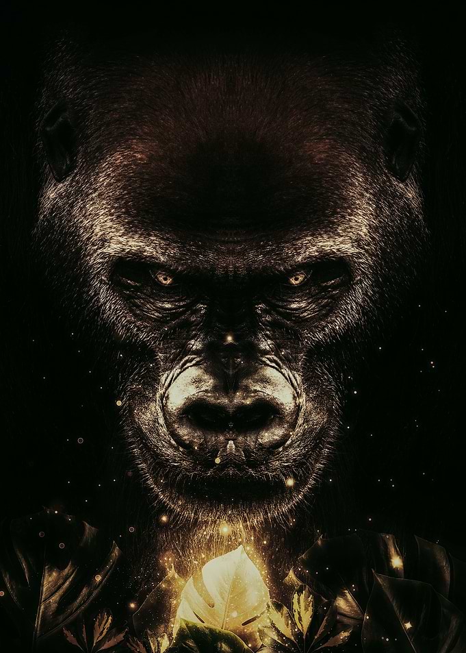 Gorilla and Glowing Leaf