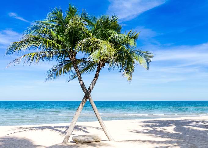 Palm Beach at the Sea