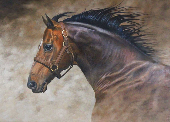 Born to Gallop Free
