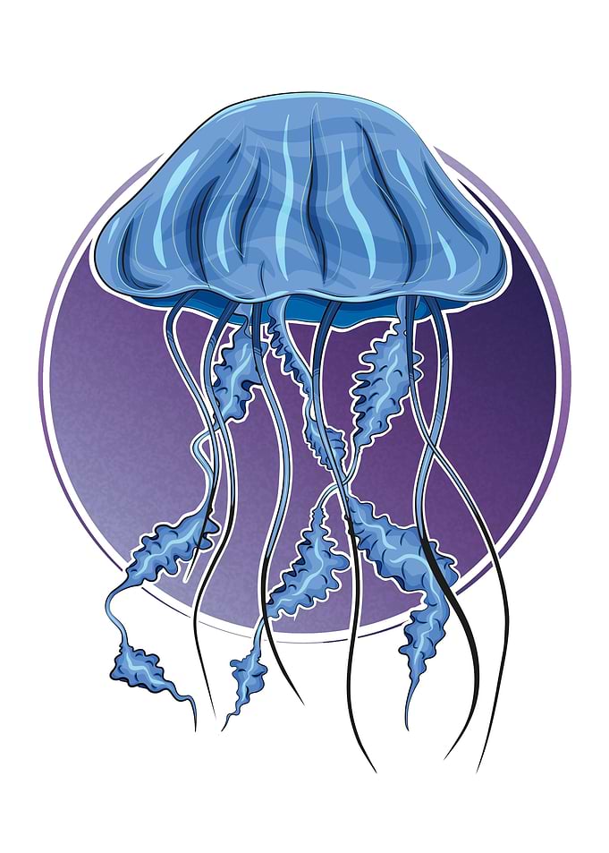 Jellyfish in purple