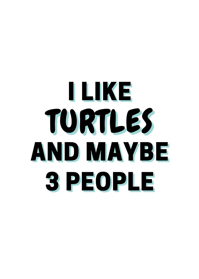 I Like Turtles And Maybe 3