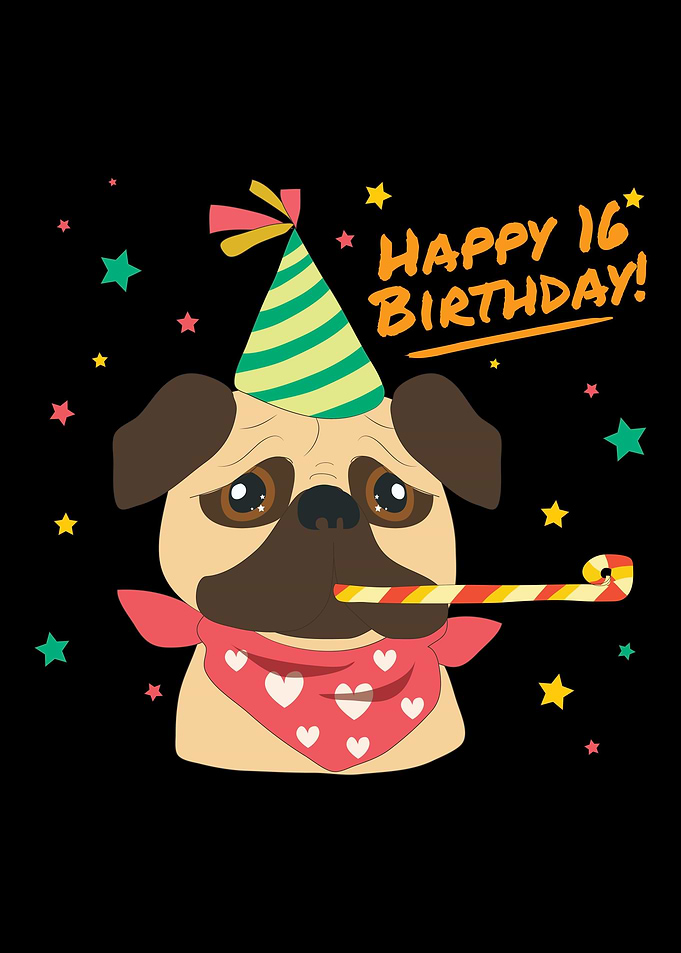 16th Birthday Party Gift