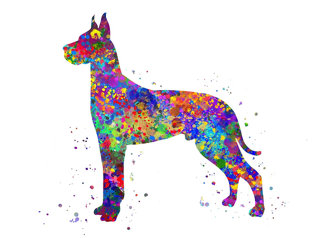 Great Dane dog