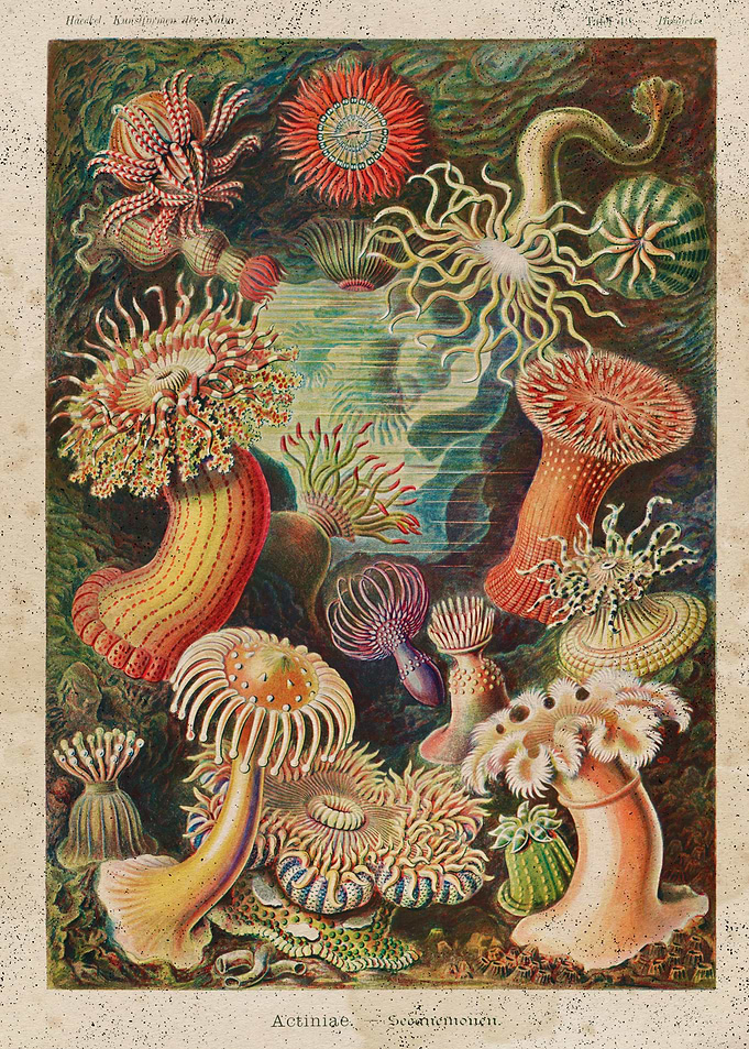 Biology Chart 101