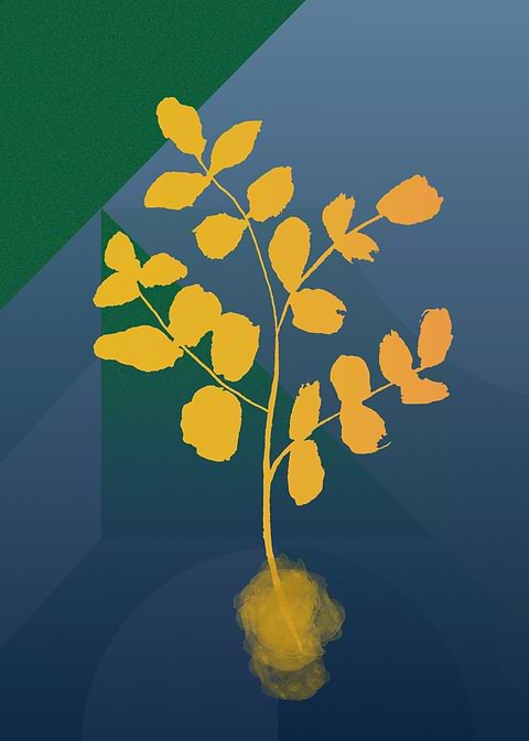 Gold Leaves