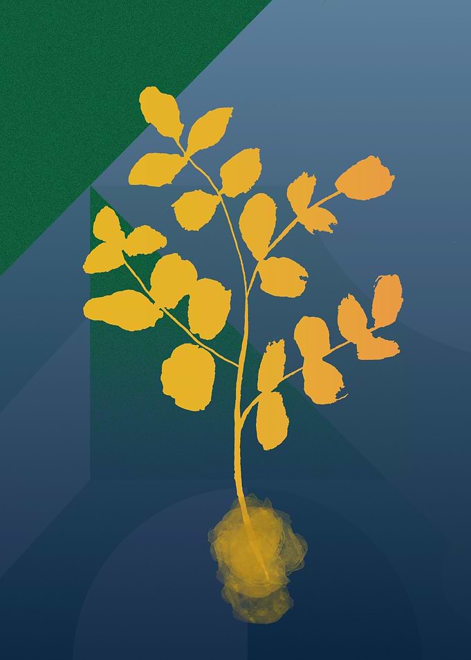 Gold Leaves