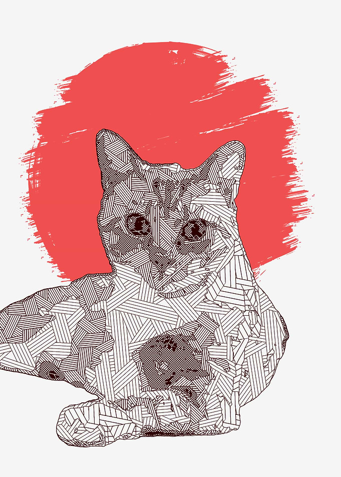 Kitty Cat Polygon