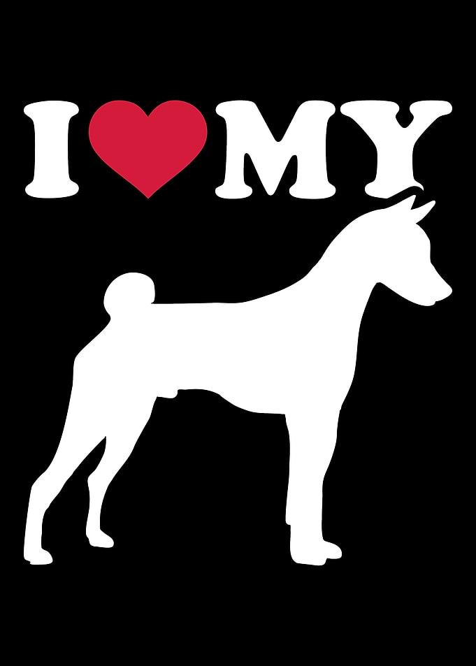 Basenji