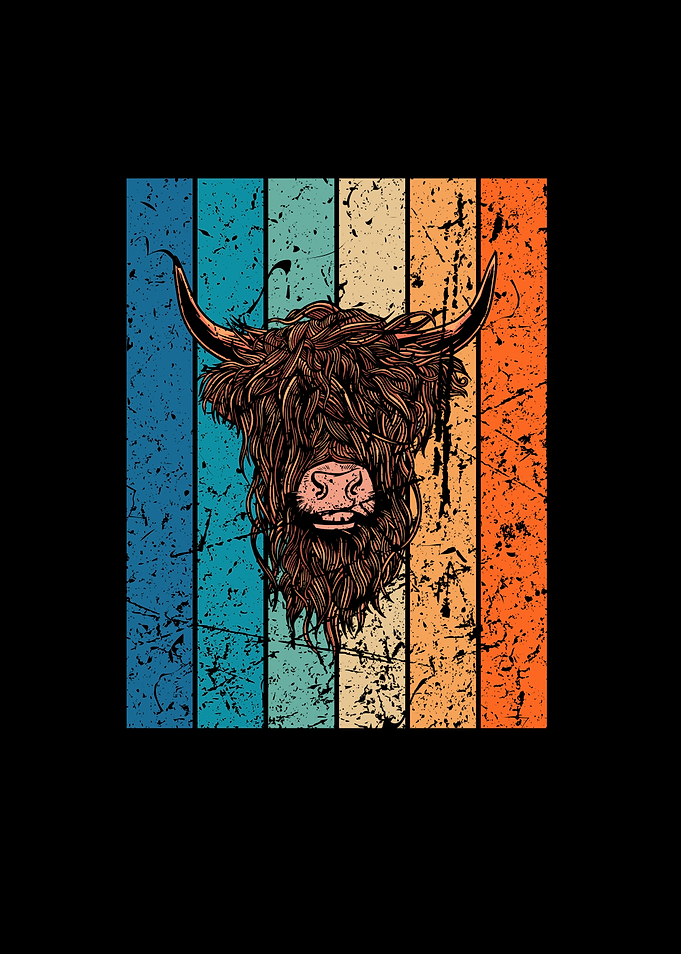 Scottish Highland Cow
