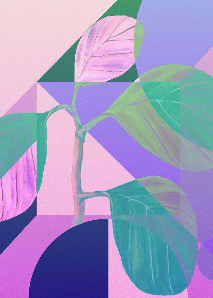Nature and Geometry