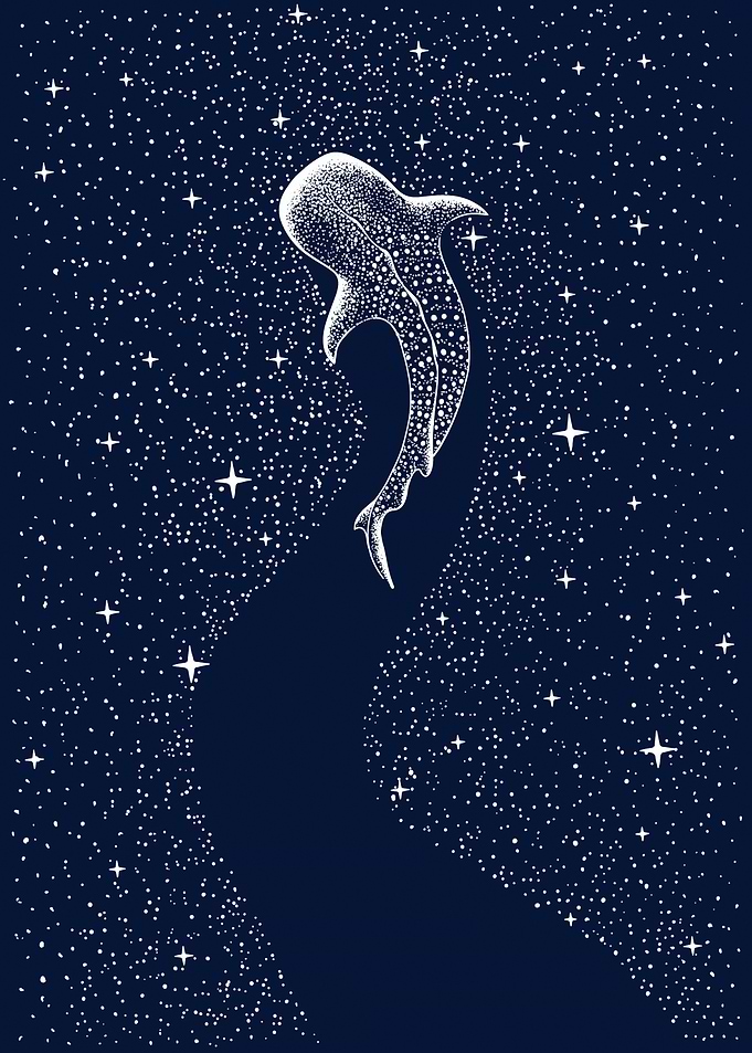 Star Eater Navy