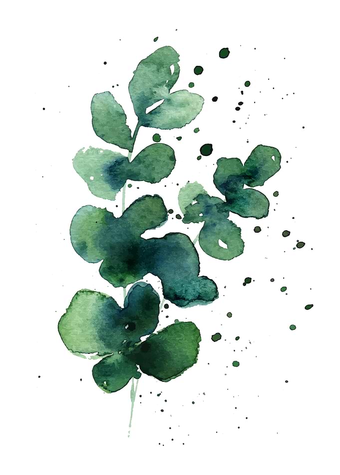 Modern eucalyptus 4