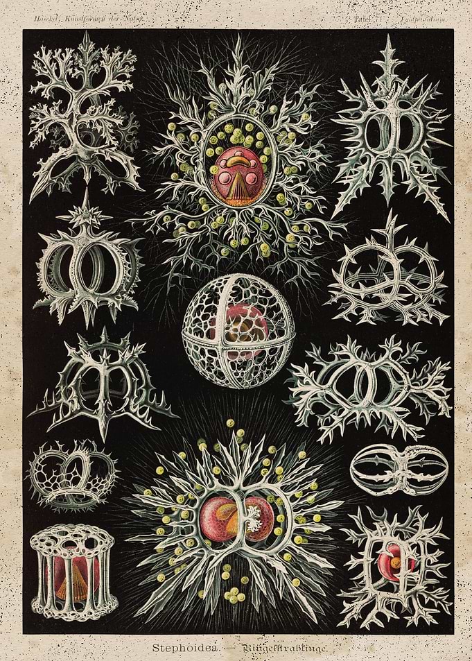 Biology chart