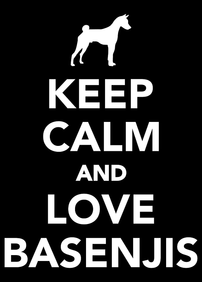Basenji