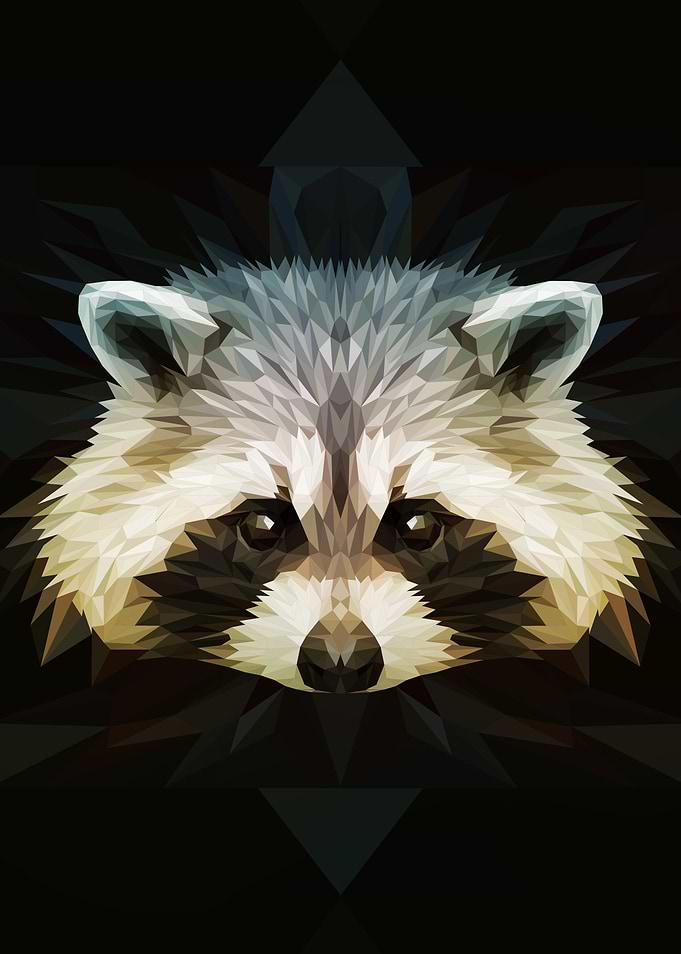 racoon low poly