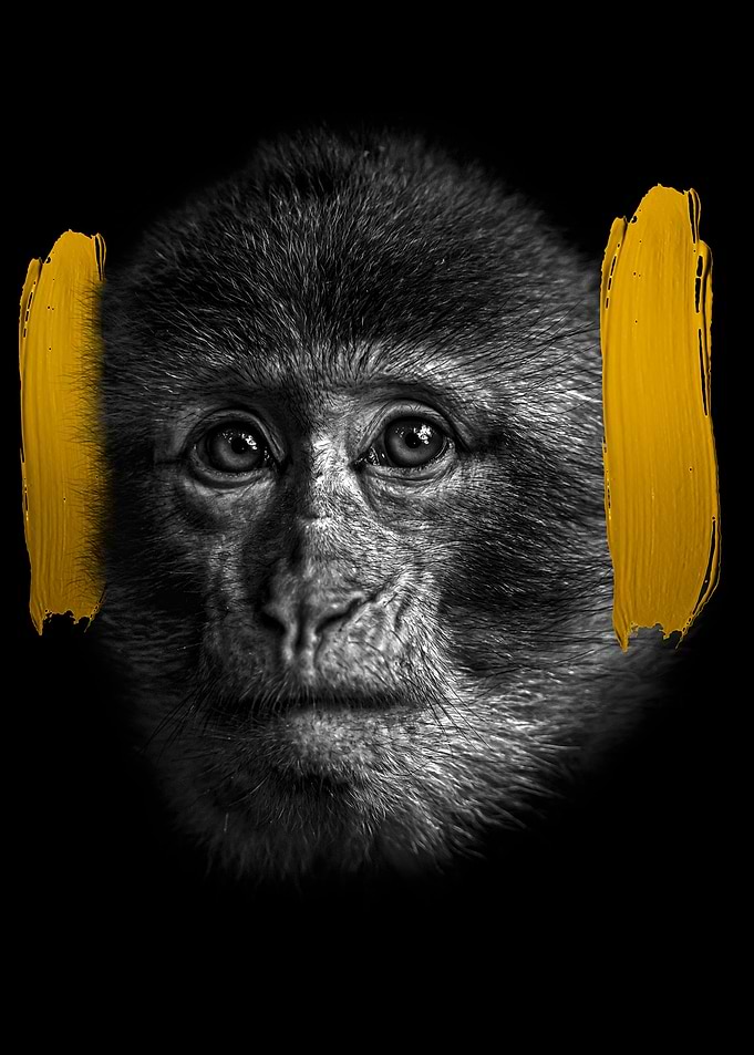 Monkey no hear artwork