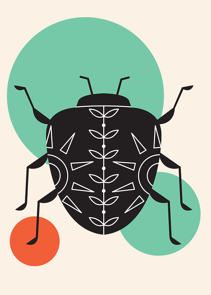 beetle minimalist art