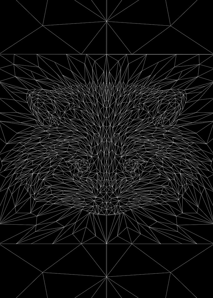 Racoon low poly line