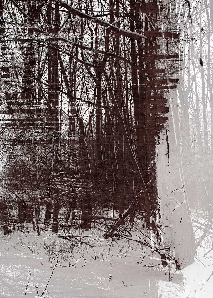 Treeangles