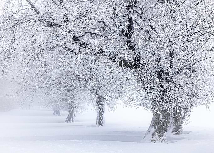 Winter alley