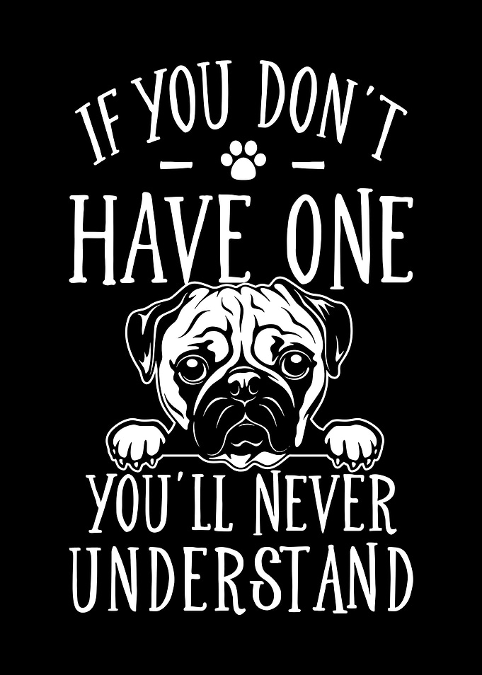 Pug Saying Funny