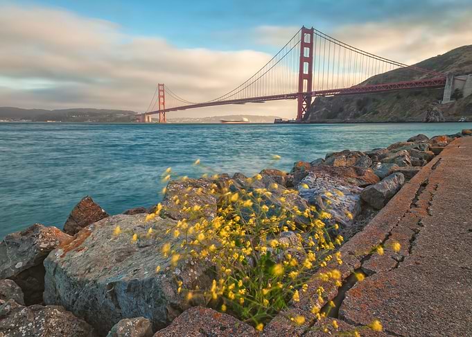 Golden Gate Sunset II