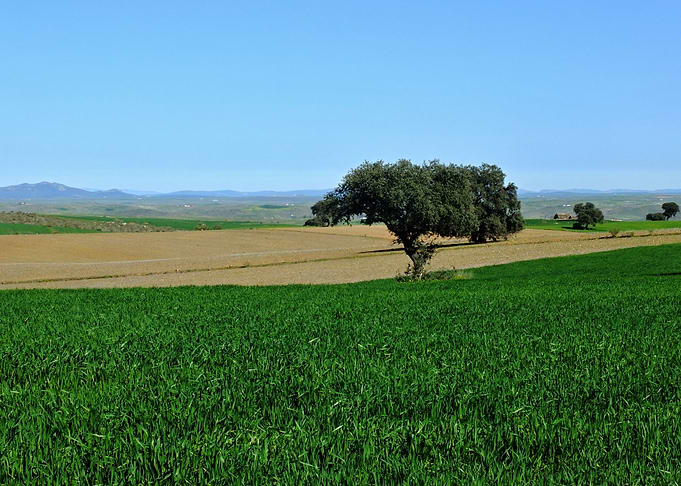 Extremadura Spring 03
