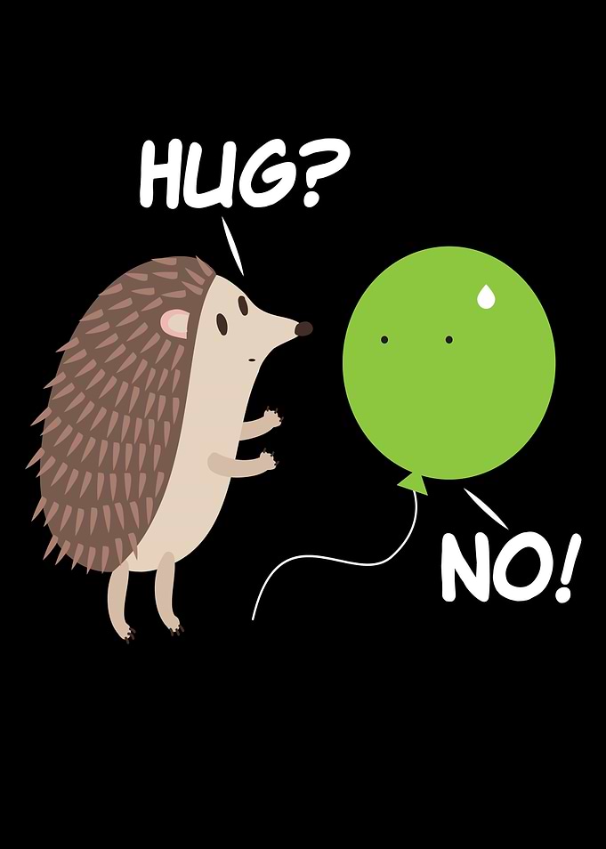 Hedgehog Balloon