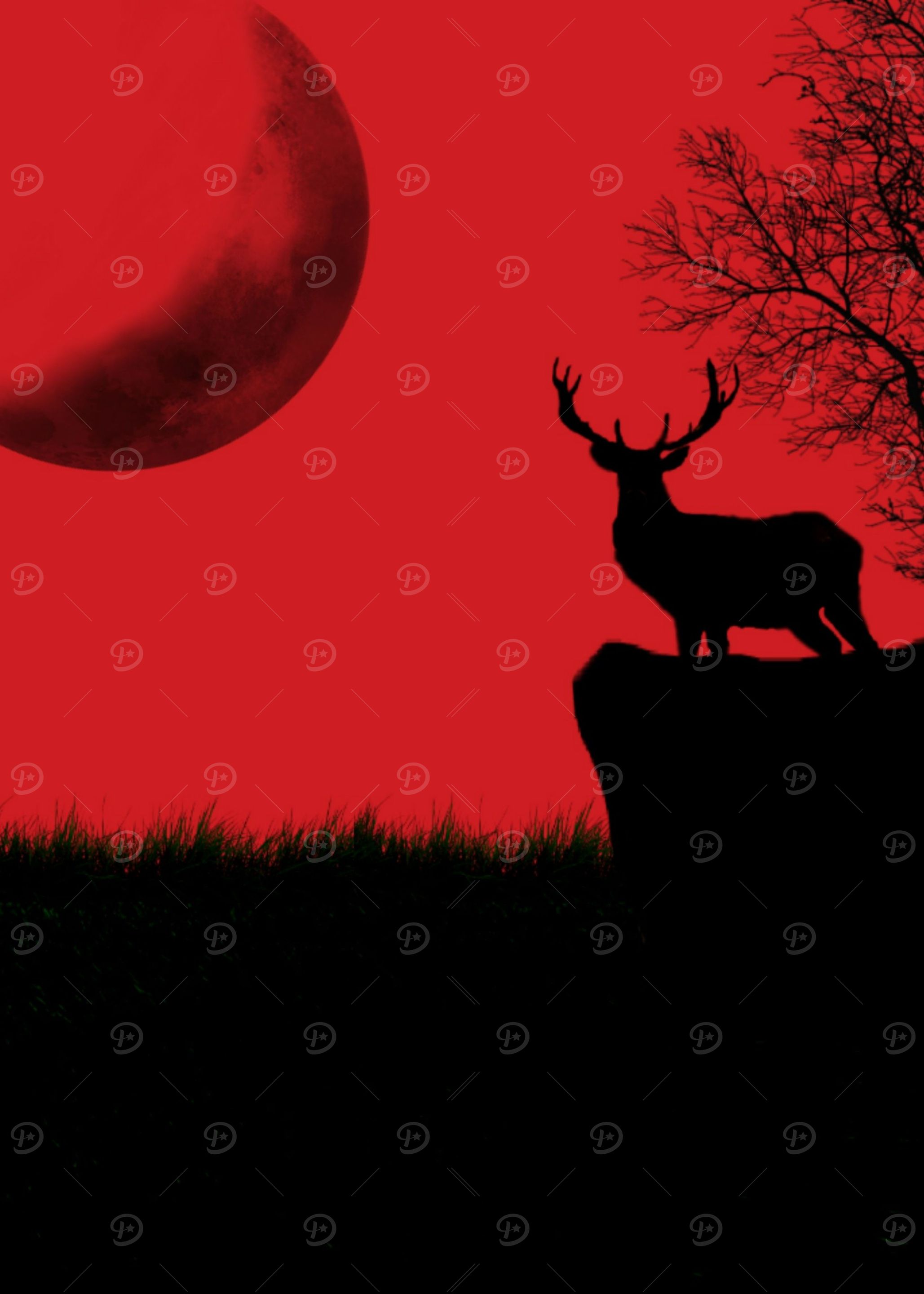 Red Deer