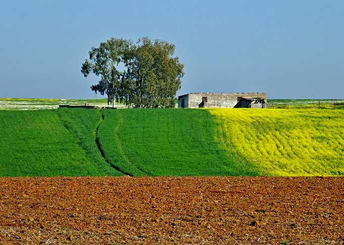 Extremadura Spring 01