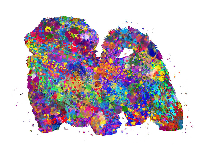 Shih Tzu dog