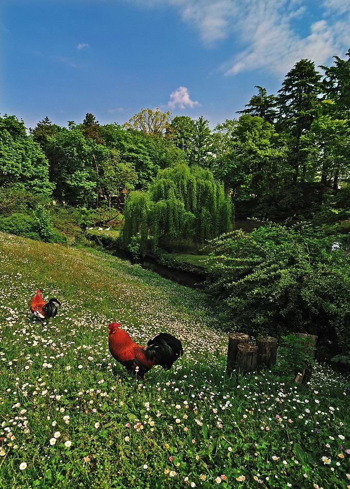 Spring park