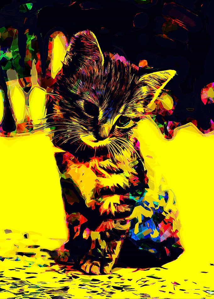 cat poster