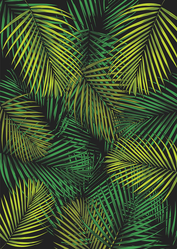 tropical tree