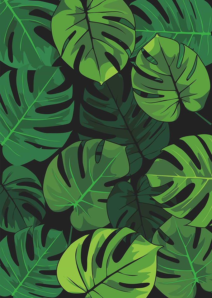 monstera pattern