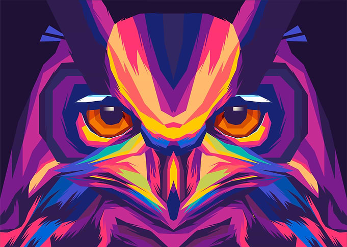 Owl Illustration Popart