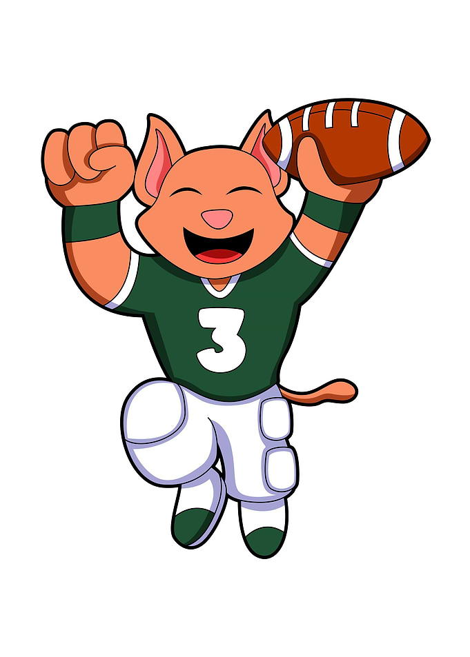 Cat Football Sports