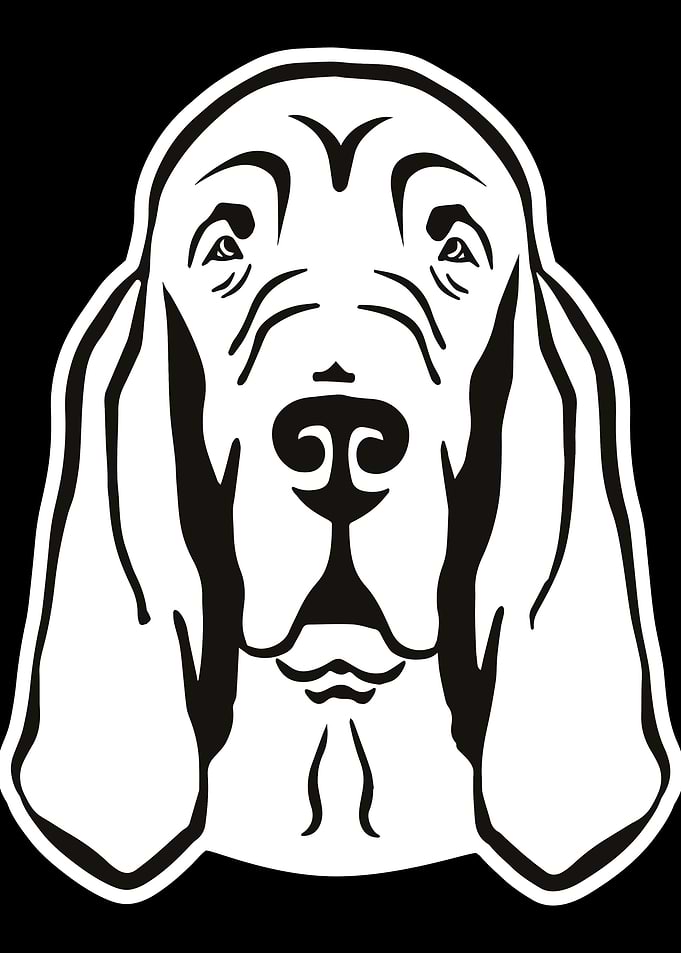 Bloodhound