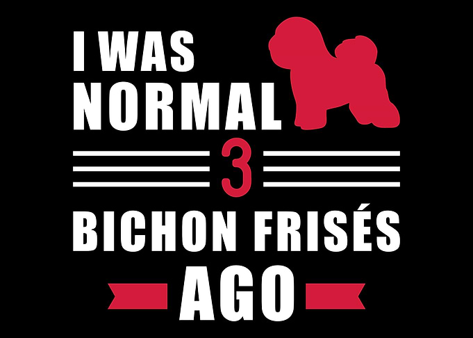 Bichon Frise