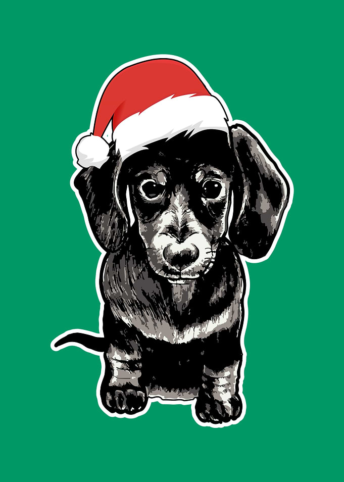 Adorable Xmas Dachshund