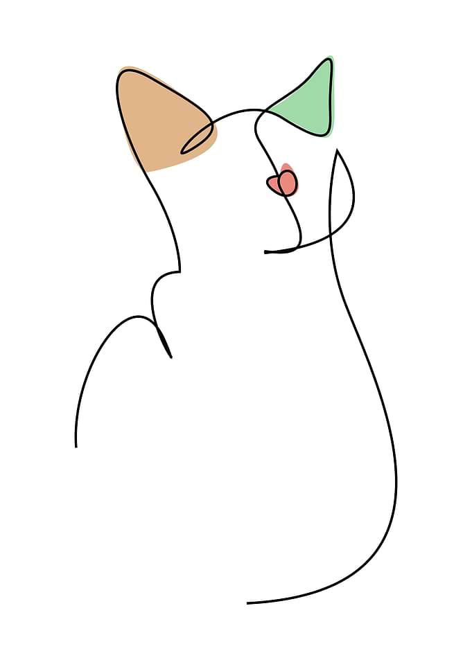 CAT 2