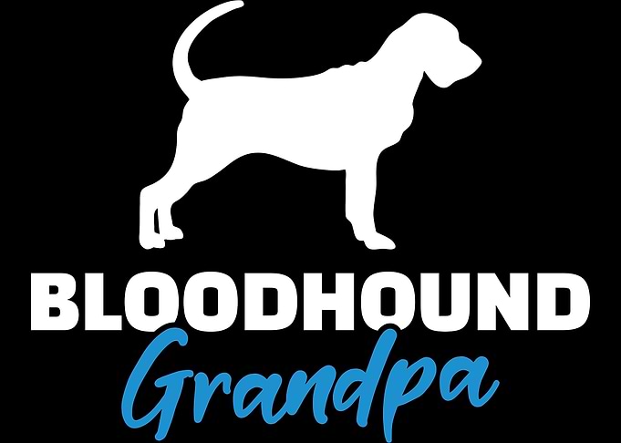 Bloodhound