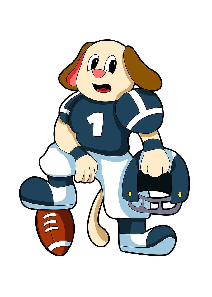 Dog Football Sports