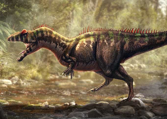 Allosaurus Fragilis