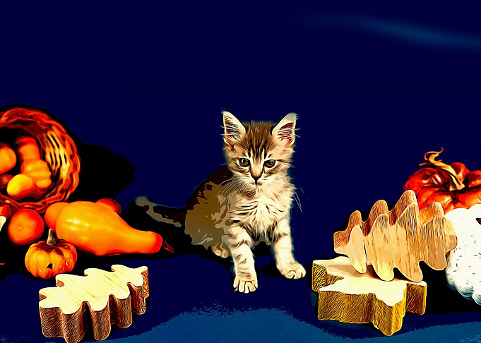 cat poster
