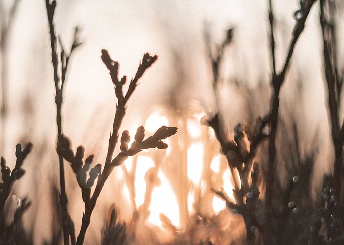 Autumn Evening