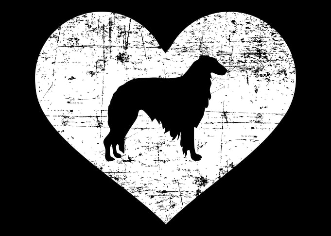 Borzoi