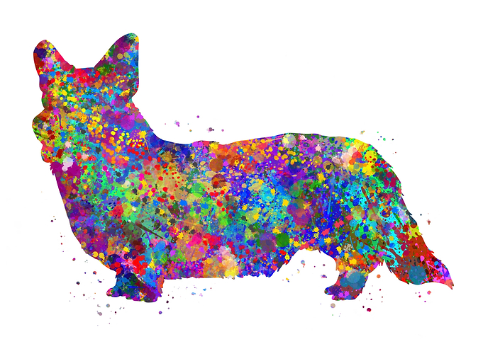Cardigan Welsh Corgi dog