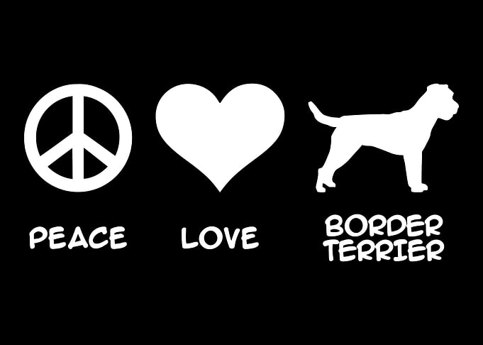 Border Terrier